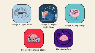 Every Type of Sleep Explained