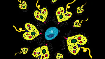 What happens if you get cooties?