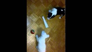 VID 20141030 WA0000