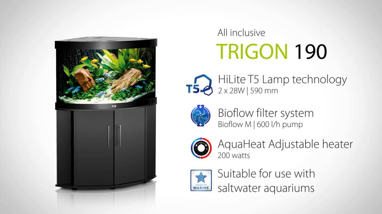 Juwel Aquarium Trigon - YouTube