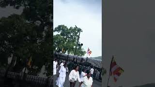 IMG 0325