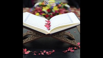 سيماهم في وجوههم من أثر السجود | ماهر المعيقلي تلاوة خاشعة مبكية