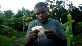 Dealing with the wound G string and how to solve its problem part 1