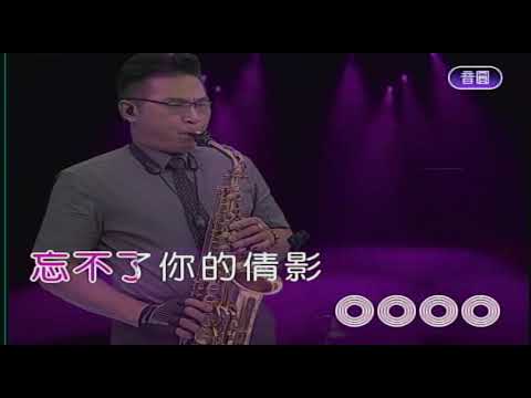 倩影    屏東張菲     薩克斯風演奏