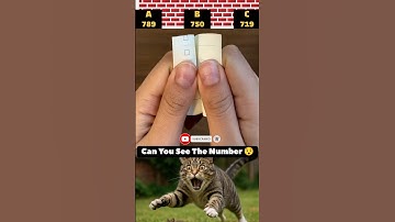 Can You See The Number ☠️ | #edit #cat #troll #trollface #memes #trending #shorts #usa