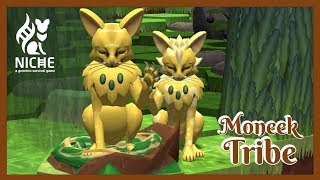 A Forbidden Birth by the Coast! 💕 Niche: The Moneek Tribe - Episode #31