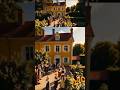 8.When Van Gogh Painted His Sunflowers #vangogh #sunflowers #yellowhouse