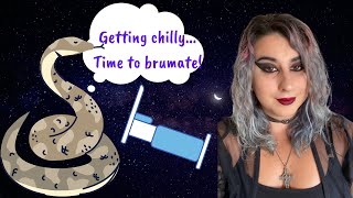 What's The Deal With Brumation? - Serpent Sunday