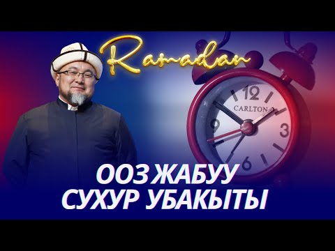 Video: Суусарды кантип кармаш керек