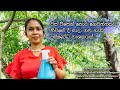 වස විසෙන් තොර ගෙවත්තකට නිවසේ දී සාදා ගතහැකි පලිබෝධ නාශකයක්