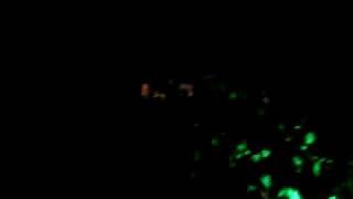 Halloween Night 2Oo8 08