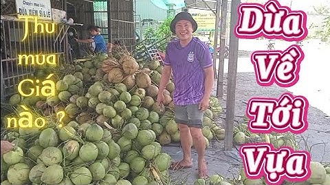 Nay Quốc dừa hái dừa xiêm xanh.thấp đẹp vui .dừa tới vựa hồi hộp #quocduavlog 