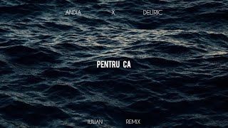 REMIX | Andia x Deliric - Pentru că | Iulian Remix