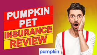 Pumpkin Pet Insurance Review - Are Their Insurance Rates Competitive? (In-Depth Review)