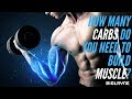 How many carbs do you need to build muscle?