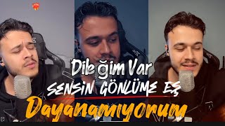 Enes Kılınç & Dayanamıyorum - Sensin Gönlüme Eş - Dileğim Var