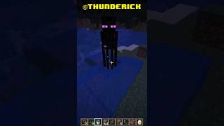 I Messed With The Wrong Mob In Minecraft