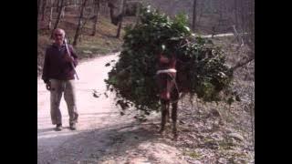 Download lagu سه ترانه از عماد رام