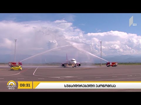 საქართველოს სუბსიდირებული ეკონომიკა