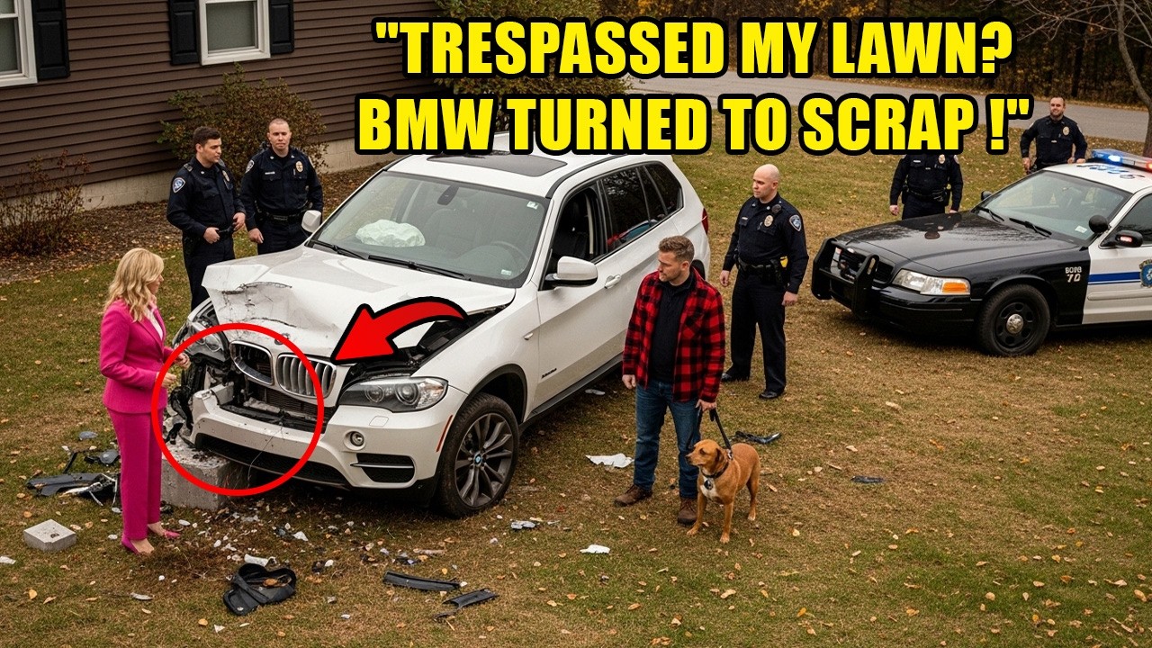HOA Karen Kept Driving Over My Lawn — So I Installed a Concrete Bollard That Ended Her BMW
