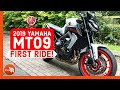 2019 Yamaha MT09 - First Ride! | Join me for a full test ride of the Hyper Naked Yamaha MT09!