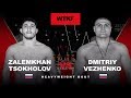 WTKF Дмитрий Веженко (Россия) vs Залимхан Цохолов (Россия)