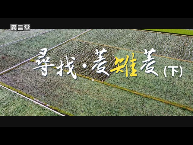 【民視異言堂】尋找‧菱雉菱 (下)
