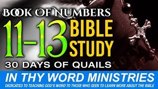 Book of Numbers (Ch 11-13) Bible Study - 30 Days Of Quails