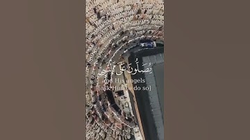 إِنَّ اللَّهَ وَمَلَائِكَتَهُ يُصَلُّونَ عَلَى النَّبِيِّ ۚ سورة الأحزاب #راشد_الأركان#أجر#quran#آية
