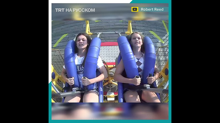 Прокатились с ветерком... и чайкой