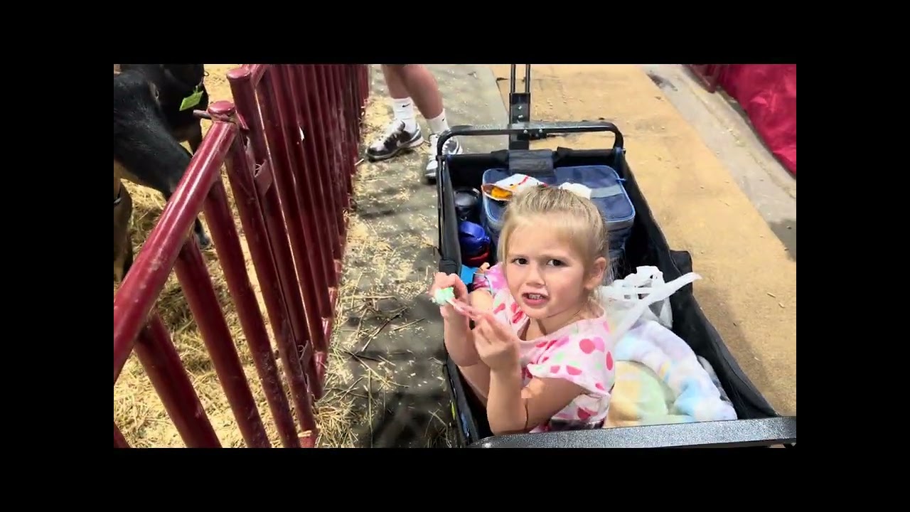 Ярмарка штата Кентукки! 