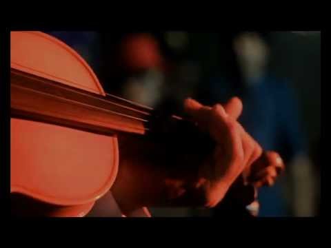 Popular Videos - Hipnotribe
