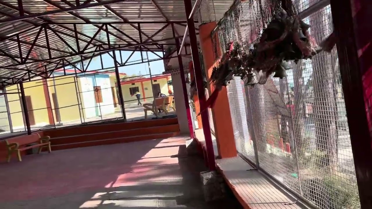 गोलू देवता