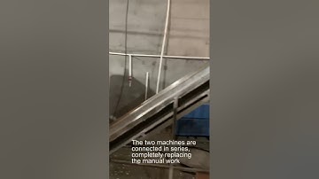 Color sorter applied to garlic processing