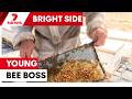 Teen beekeeper building a sweet empire | 7NEWS
