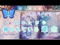 あなたが今導かれている運命🐉高次元メッセージ🌹個人鑑定級💙