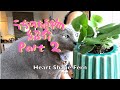 House Plant / Plant Haul うちの植物紹介 Part2 【ハウスアプラント育て方】