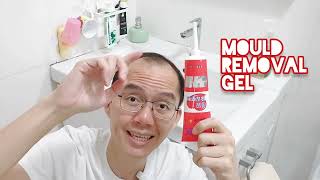 Mould Mold Remover Gel Test Review