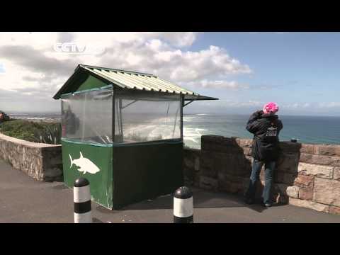 Eco Africa: SA's