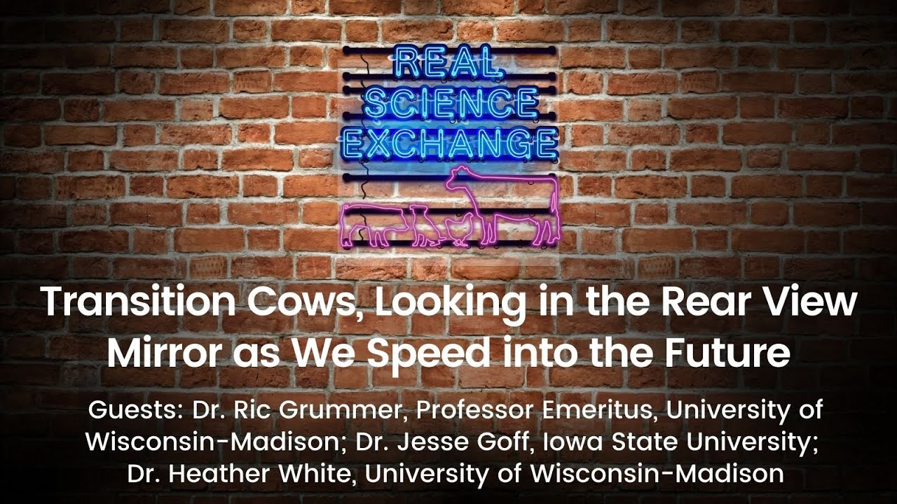 Real Science Exchange: Transition Cows, Looking in the Rear-View Mirror as We Speed into the Future