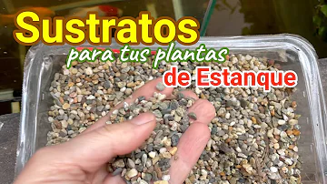 ¿Cuál es la mejor grava?