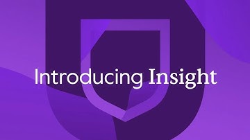 Introducing Insight