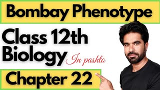 Bombay Phenotype || Class 12th Biology || Chapter 22 inheritance in pashto