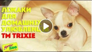 Места Для Собак от ТМ Trixie. Все О Домашних Животных Места Для Собак от ТМ Trixie. Все О Домашних Животных