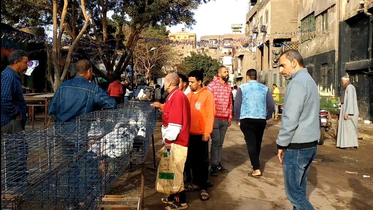 ورجعنالكم تانى من سوق امبابه يوم الثلاثاء ، وفرجه وأسعار الحمام الغزار والزينه 👌