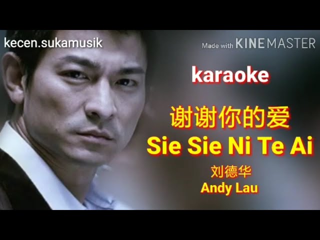 Sie Sie Ni Te Ai - Andy Lau karaoke 謝謝你的愛 - 刘德华 class=