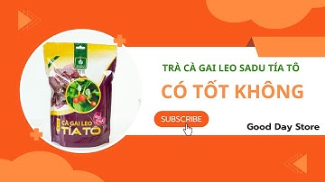 Review trà cà gai leo sadu tía tô có tốt không ,mua trà cà gai leo ở đâu chính hãng,giá bao nhiêu