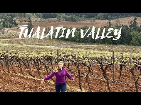 Video: 3 Destinos Vinícolas Que Debe Visitar En El Valle De Willamette En Oregón