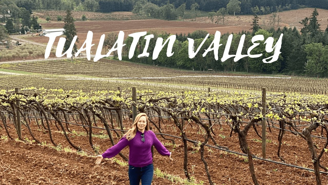 OREGON'S TUALATIN VALLEY - TOP PLACES for WINE TASTING🍷 