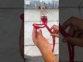 Tie a easiest knot in emergency situations!